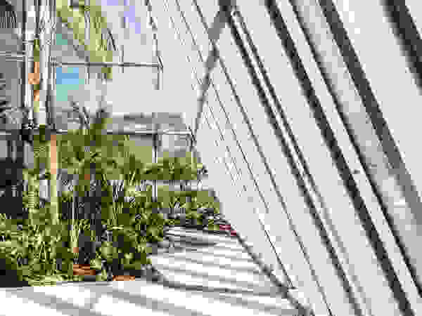 Giambenini srl Interior landscaping