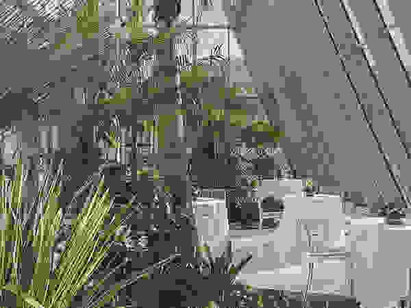 Giambenini srl Interior landscaping