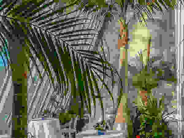 Giambenini srl Interior landscaping