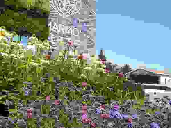 Giambenini srl Garden Plants & flowers