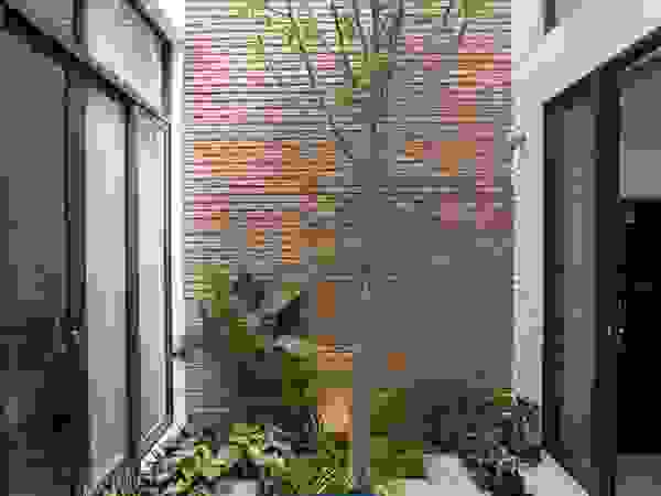 THANH TUNG - HOMIFY Сад
