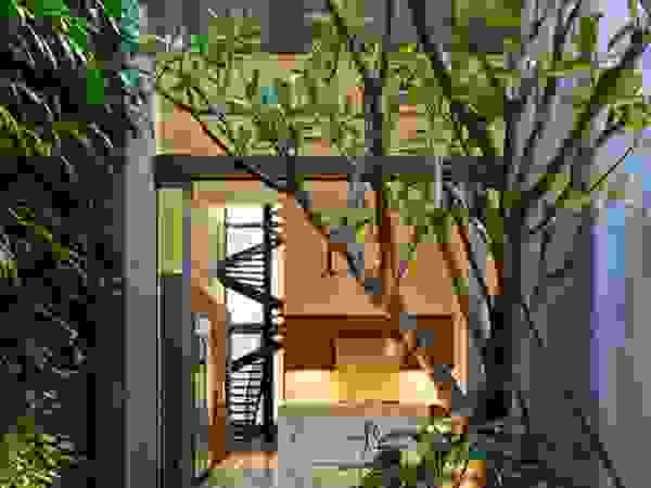 THANH TUNG - HOMIFY Сад