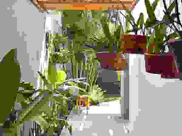 THANH TUNG - HOMIFY Сад