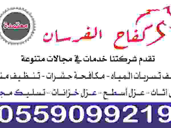 شركة تنظيف البيوت في شمال الرياض 0559099219