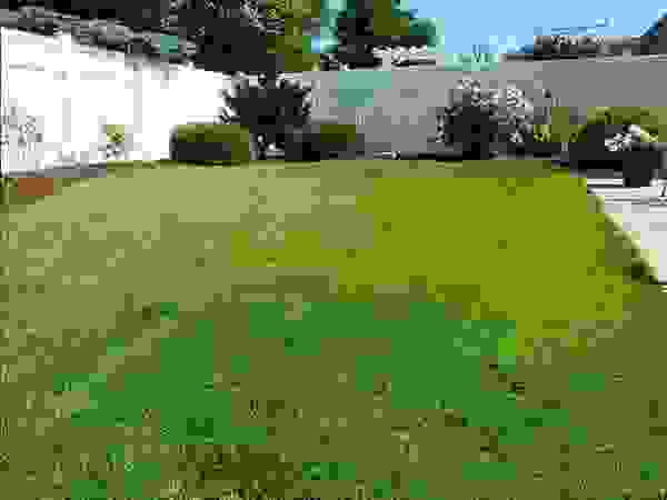 Landscape Cary Landscape Cary Balcony
