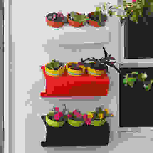 Decoración del Hogar, Sílice - almacén de diseño - Sílice - almacén de diseño - Modern balcony, veranda & terrace Plants & flowers