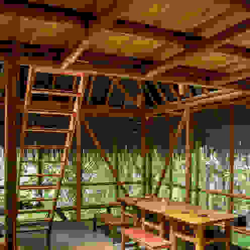 Universo Pol - Morro de San Pablo, IR arquitectura IR arquitectura Tropical style dining room Bamboo Green