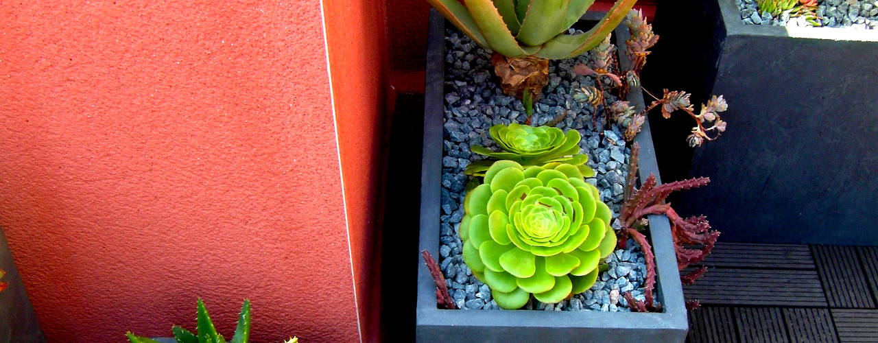 Barcelona-Meridiana, Simbiosi Estudi Simbiosi Estudi Jardins modernos