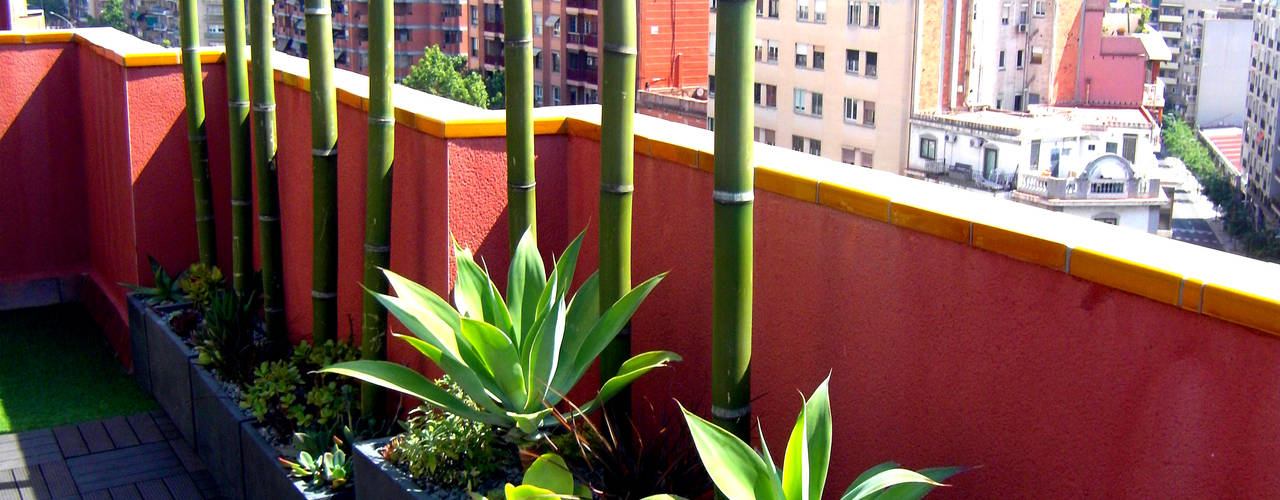 Barcelona-Meridiana, Simbiosi Estudi Simbiosi Estudi Jardines de estilo moderno