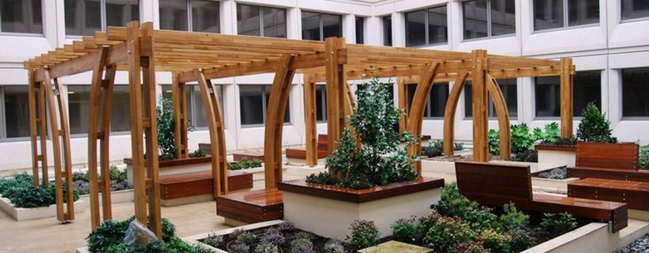 Our Work, EcoCurves - Bespoke Glulam Timber Arches EcoCurves - Bespoke Glulam Timber Arches Сад