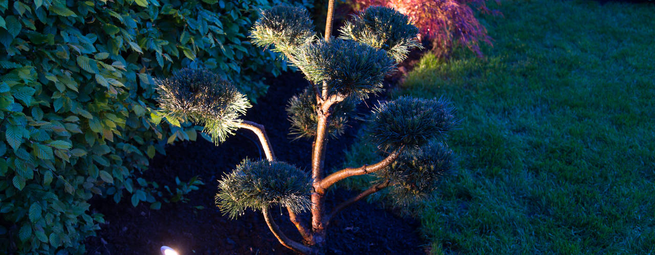 Emotionale Gartenbeleuchtung für 365 Tage Gartenerlebnis, Oswald Gärten Oswald Gärten حديقة