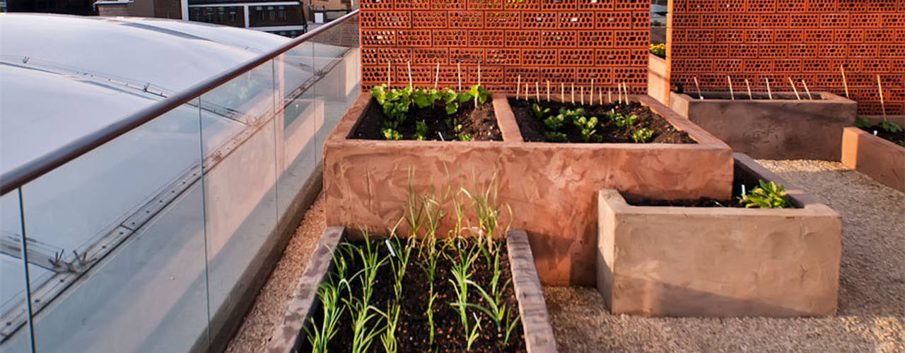 A Stunning Penthouse Terrace Project in London, Urban Roof Gardens Urban Roof Gardens Modern balcony, veranda & terrace