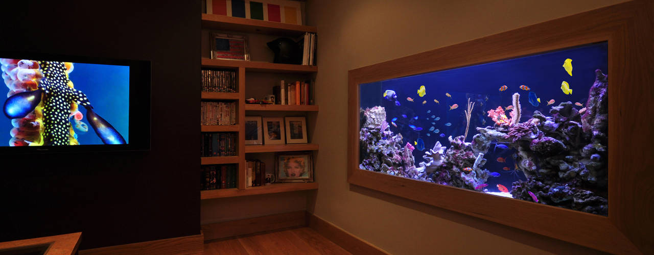 Aquarium in the city, Aquarium Architecture Aquarium Architecture Living room