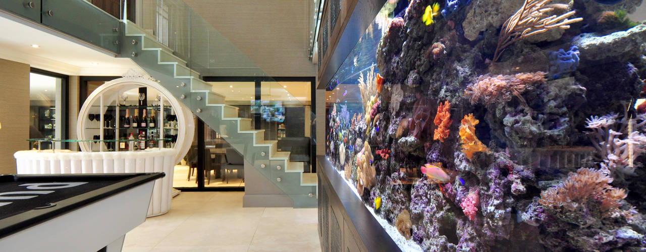 Footballer's Pad Aquarium, Aquarium Architecture Aquarium Architecture Moderne woonkamers