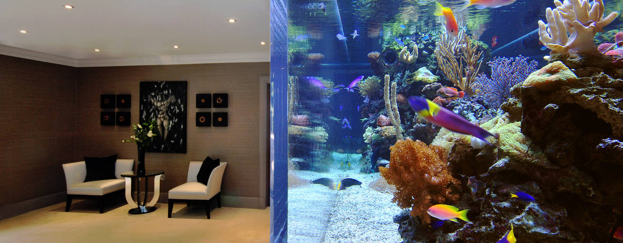 Footballer's Pad Aquarium, Aquarium Architecture Aquarium Architecture ห้องนั่งเล่น