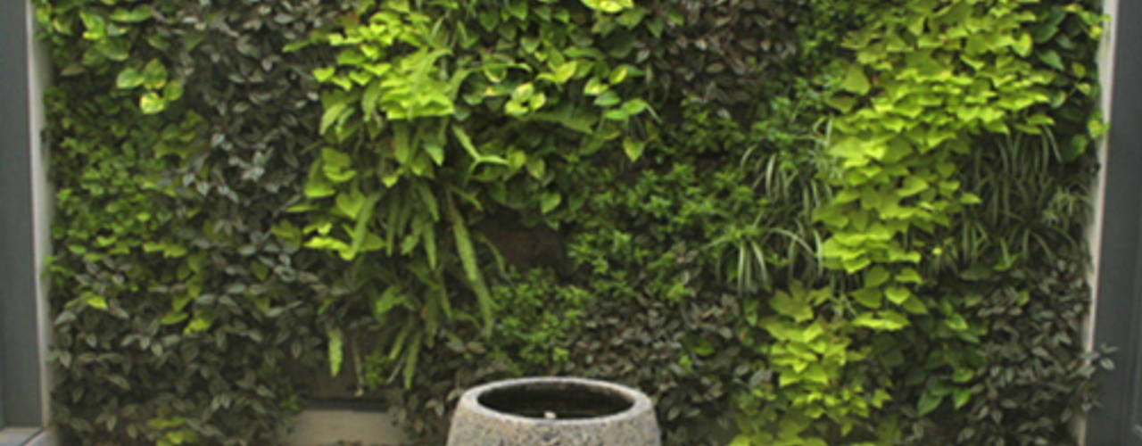 Green walls, CONILLAS - exteriors CONILLAS - exteriors Garden