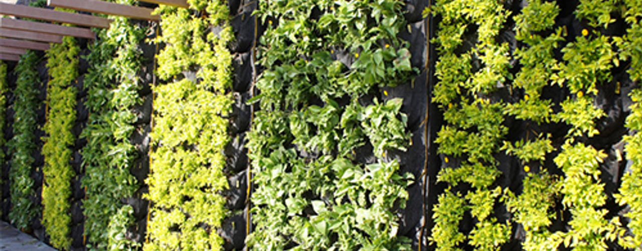 Green walls, CONILLAS - exteriors CONILLAS - exteriors Сад в средиземноморском стиле