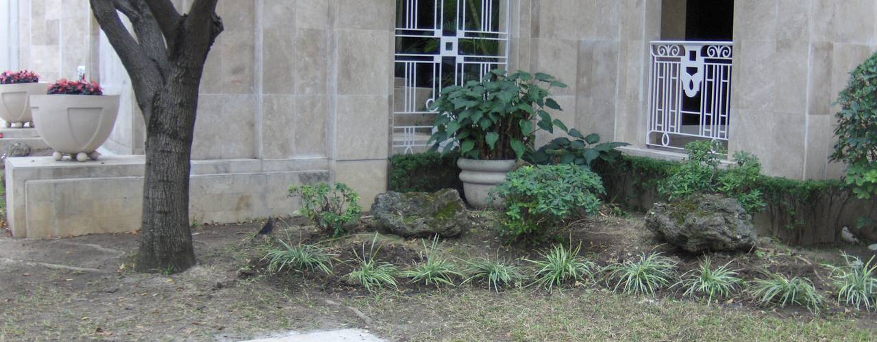 Jardin para entrada, NATURA NATURA Jardines de estilo moderno