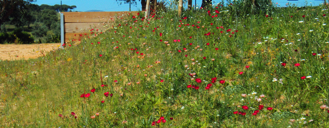 Moradia Privada, OpenGreen OpenGreen Rustic style garden