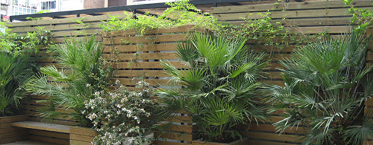 Terraza en el "eixample", Mariona Soler Mariona Soler حديقة