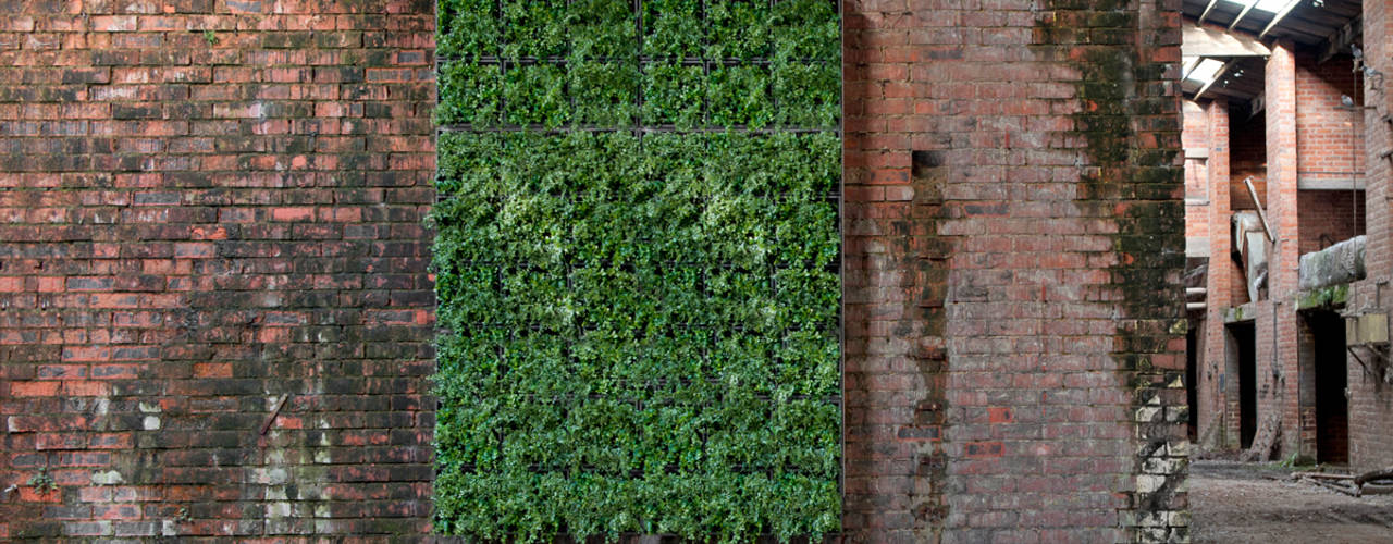 Vertikale Gärten zur Wandbegrünung, Greenbop Greenbop ระเบียง, นอกชาน
