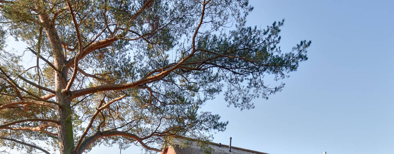 Lichtdurchflutet und gemütlich: Waldhaus mit Durchblick, Möhring Architekten Möhring Architekten Modern houses