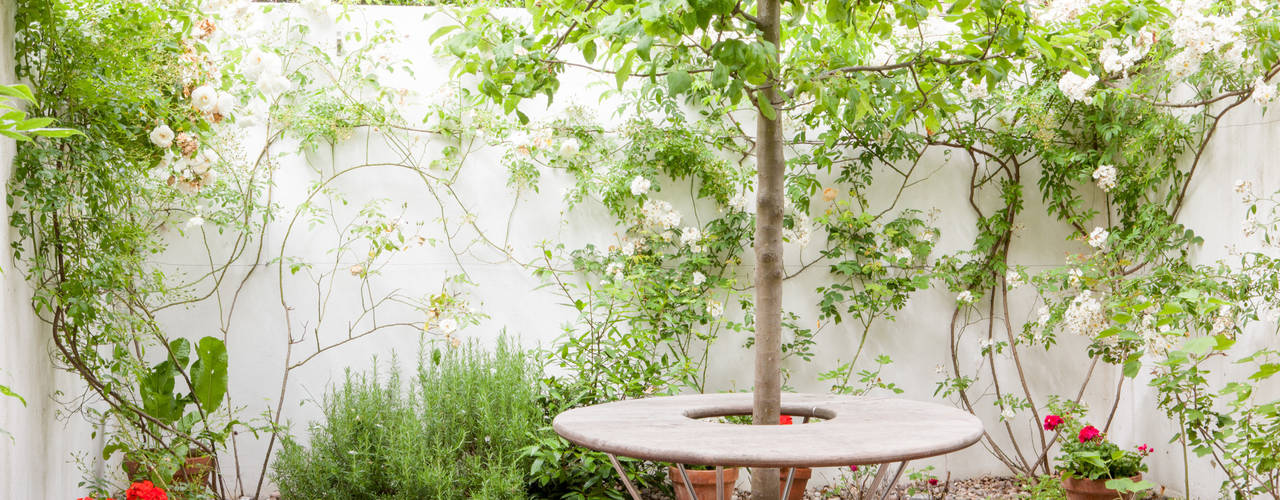 homify Minimalist style garden