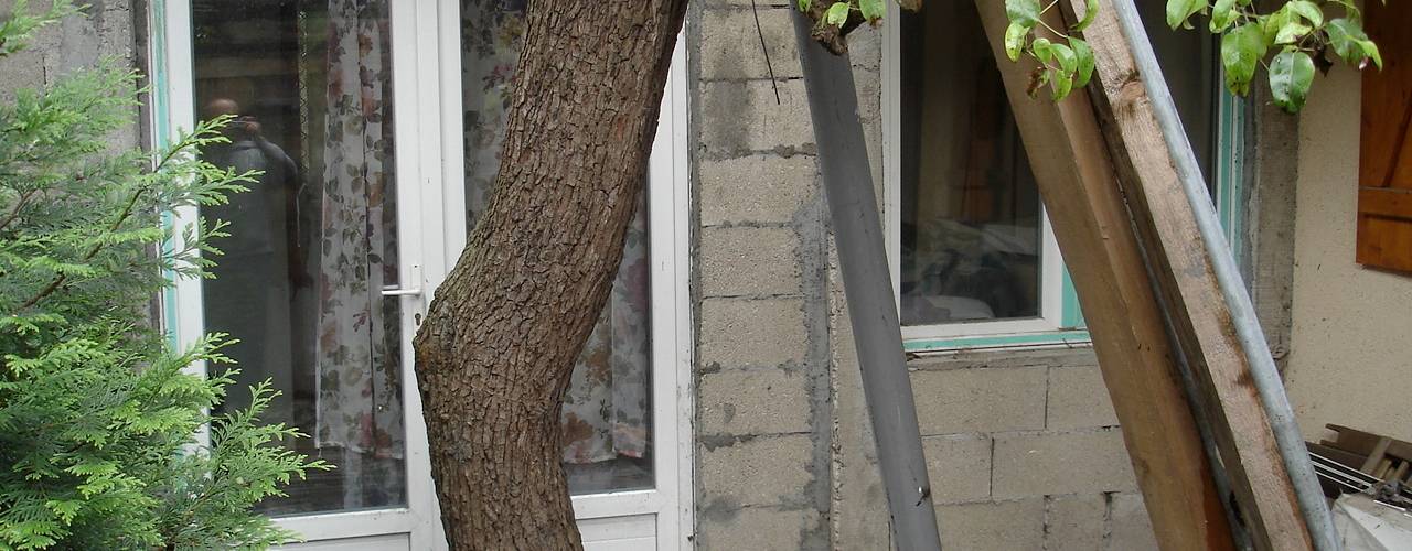 Remodelación de patio pequeño ¡con todo y árbol!