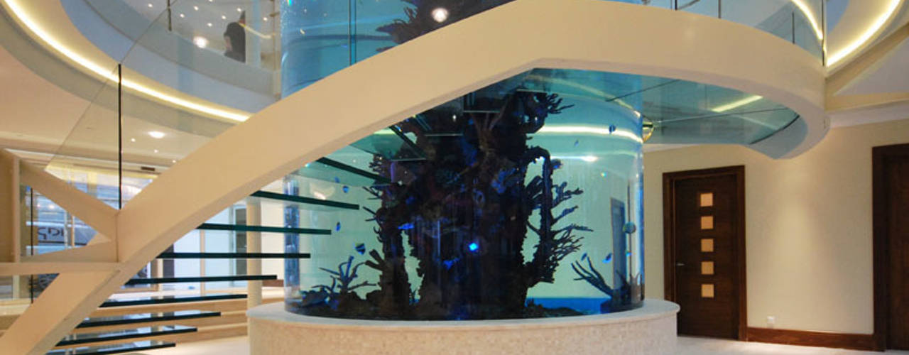 Helical glass staircase around giant fish tank, Diapo Diapo Modern corridor, hallway & stairs