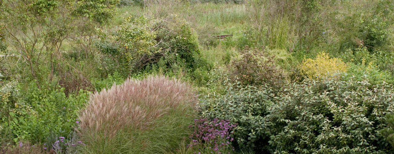 Dune garden Katwijk Holland, Andrew van Egmond (ontwerp van tuin en landschap) Andrew van Egmond (ontwerp van tuin en landschap) Jardins modernos