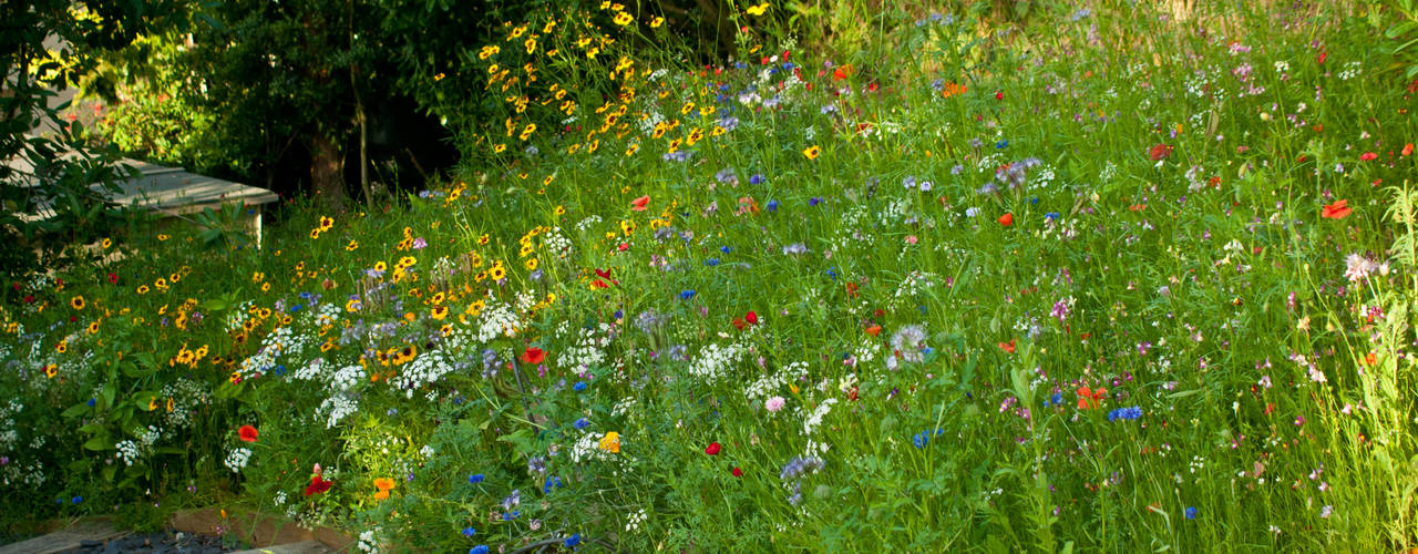 Large Contemporary Garden, Katherine Roper Landscape & Garden Design Katherine Roper Landscape & Garden Design Wiejski ogród