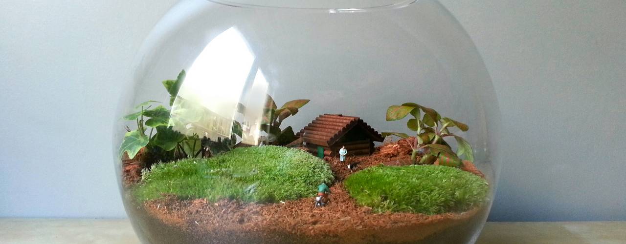 Kişiye Özel Tasarım Örnekleri, Terrarium House Terrarium House 모던스타일 정원