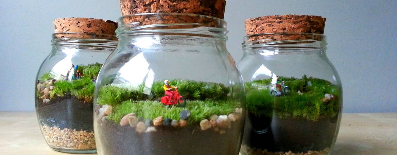 Hediyelikler, Terrarium House Terrarium House Jardines de estilo moderno