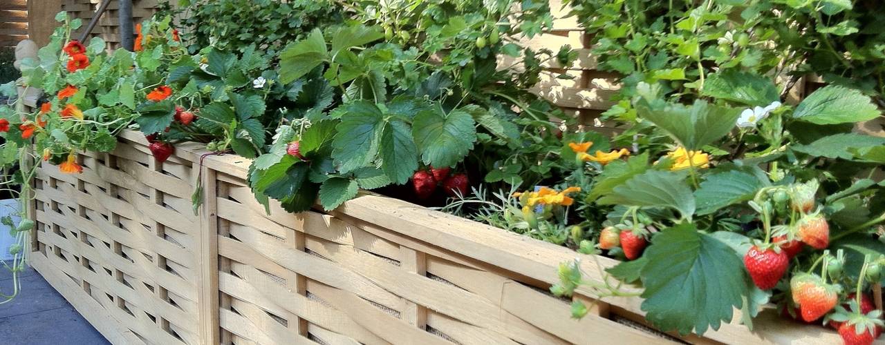 Quercus Raised Beds -Extra Space in a small garden, Quercus UK Ltd Quercus UK Ltd Minimalistischer Garten