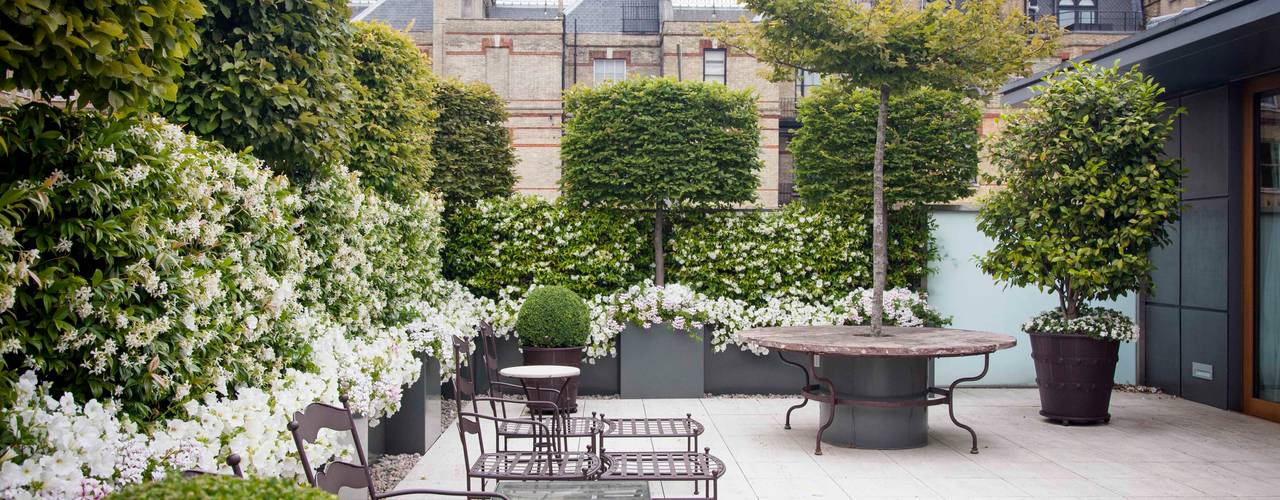 Belgravia Roof Terrace, Cameron Landscapes and Gardens Cameron Landscapes and Gardens クラシカルな 庭