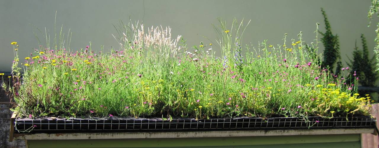 Small Green Roofs, Organic Roofs Organic Roofs مرآب~ كراج