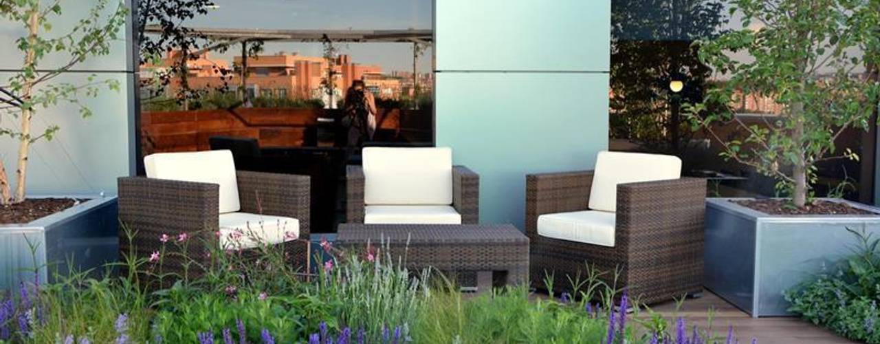 Terraza relax en Marid, La Paisajista - Jardines con Alma La Paisajista - Jardines con Alma Edificios de oficinas de estilo moderno