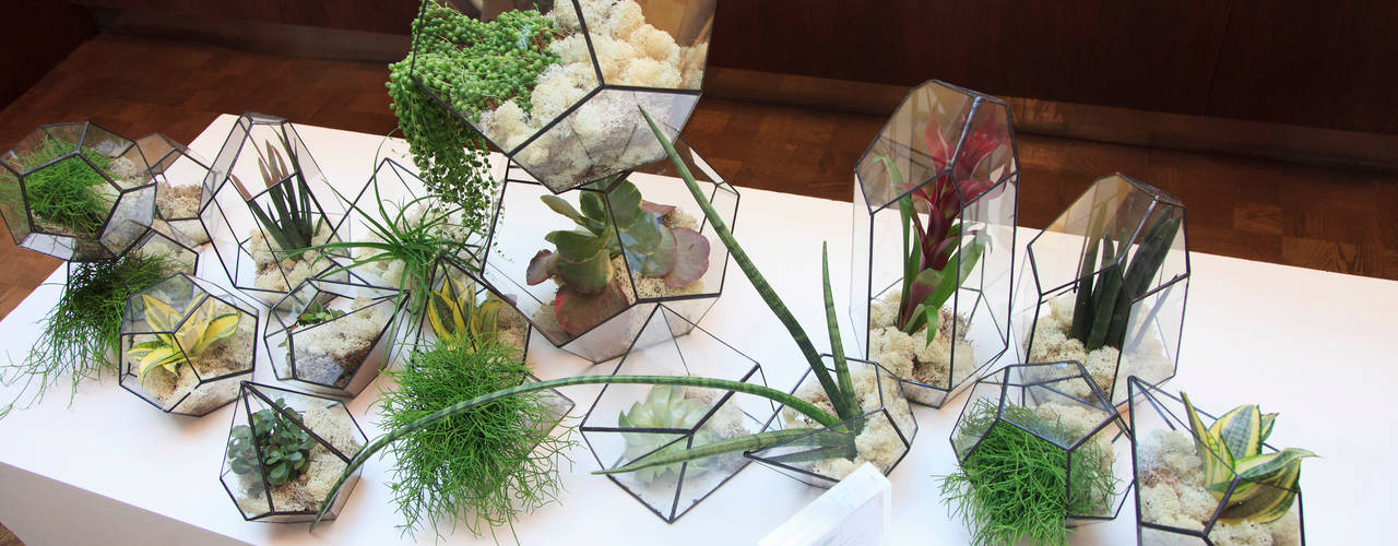 Terrarium Installations, The Urban Botanist The Urban Botanist Soggiorno moderno