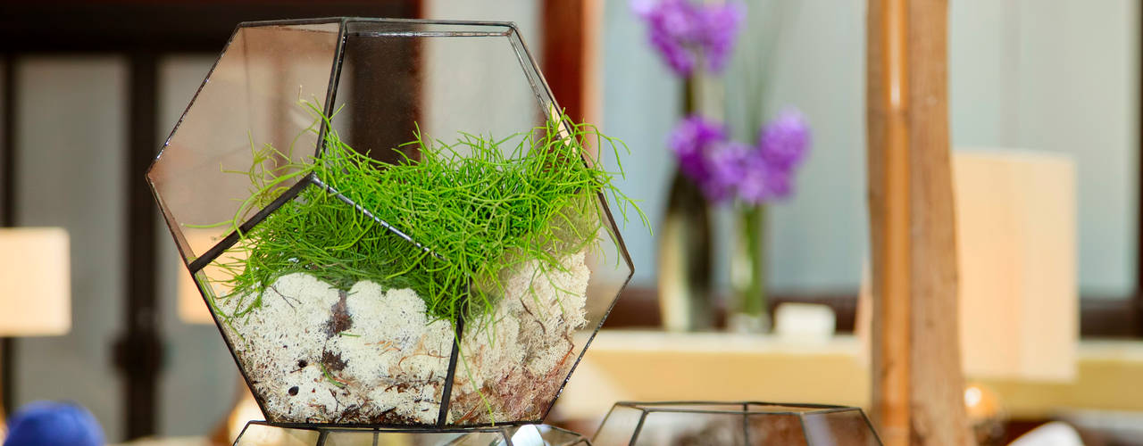 Terrarium Installations, The Urban Botanist The Urban Botanist مساحات تجارية