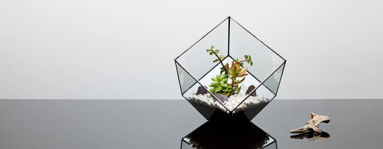 Terrarium Installations, The Urban Botanist The Urban Botanist モダンデザインの リビング アクセサリー＆デコレーション