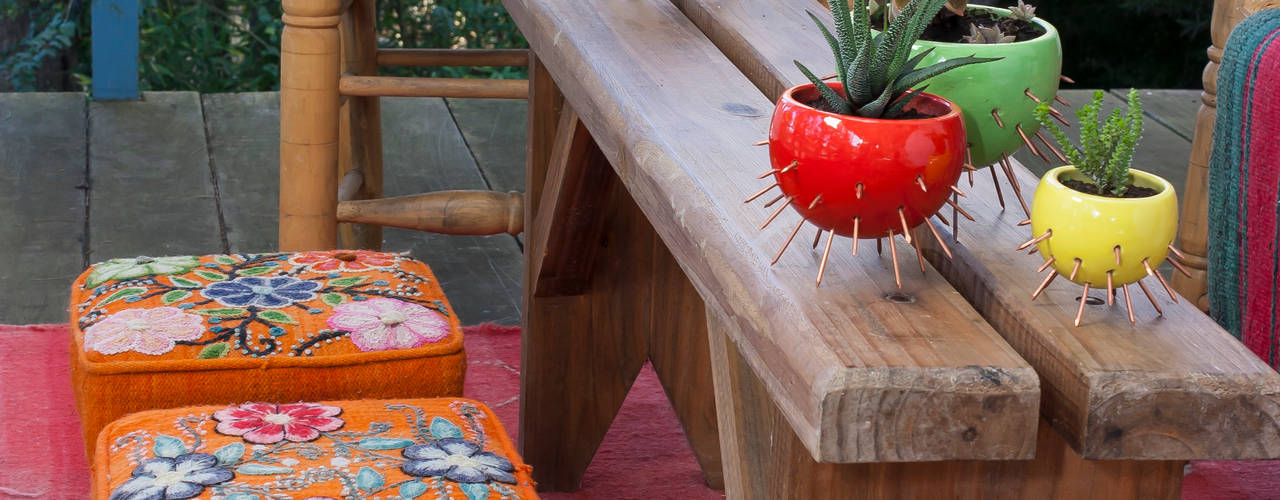 COLECCION CACTUS, CURADORAS CURADORAS Interior garden