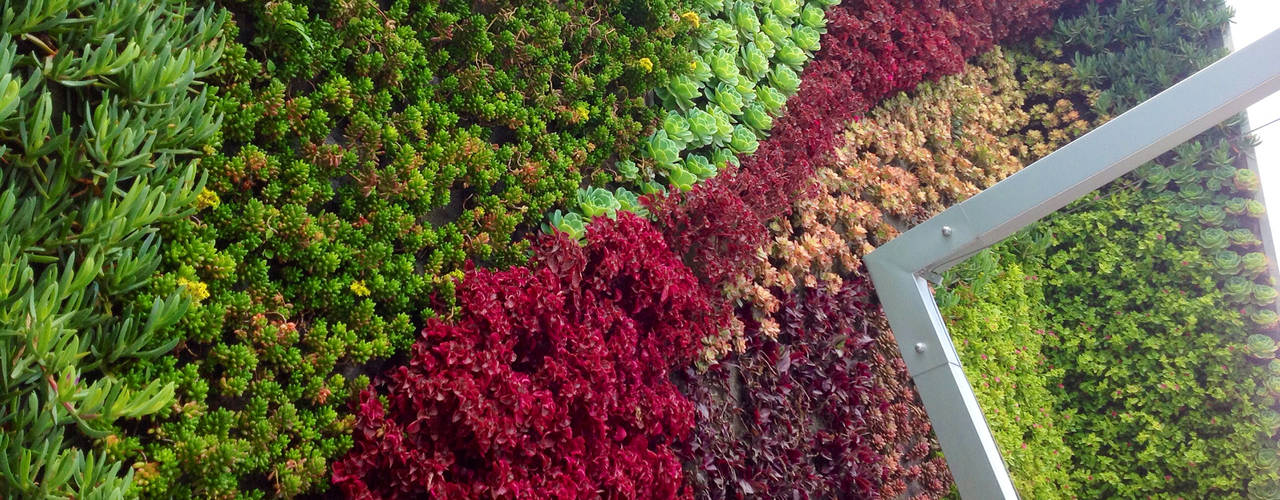 Muros Verdes - Jardines Verticales , ENVERDE ENVERDE Varandas, alpendres e terraços modernos