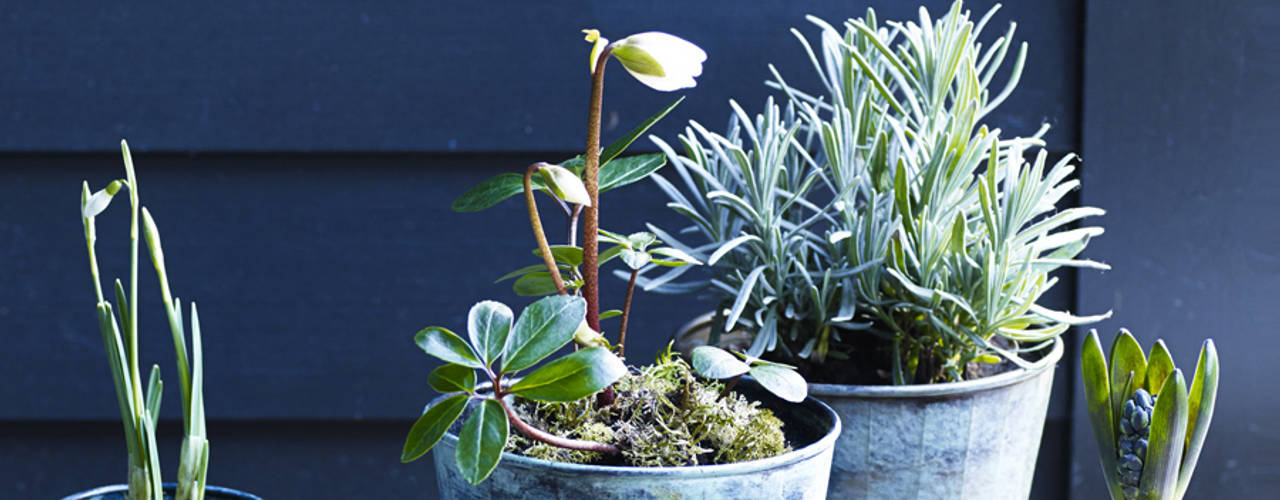 Brent Verdigris Plant Pot, Rowen & Wren Rowen & Wren Jardines de estilo rústico