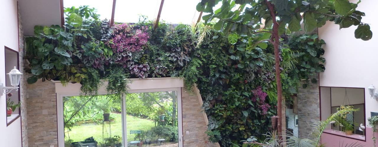 Végétaux naturels - Mur végétal intérieur (patio), Vertical Flore Vertical Flore Tropical style conservatory
