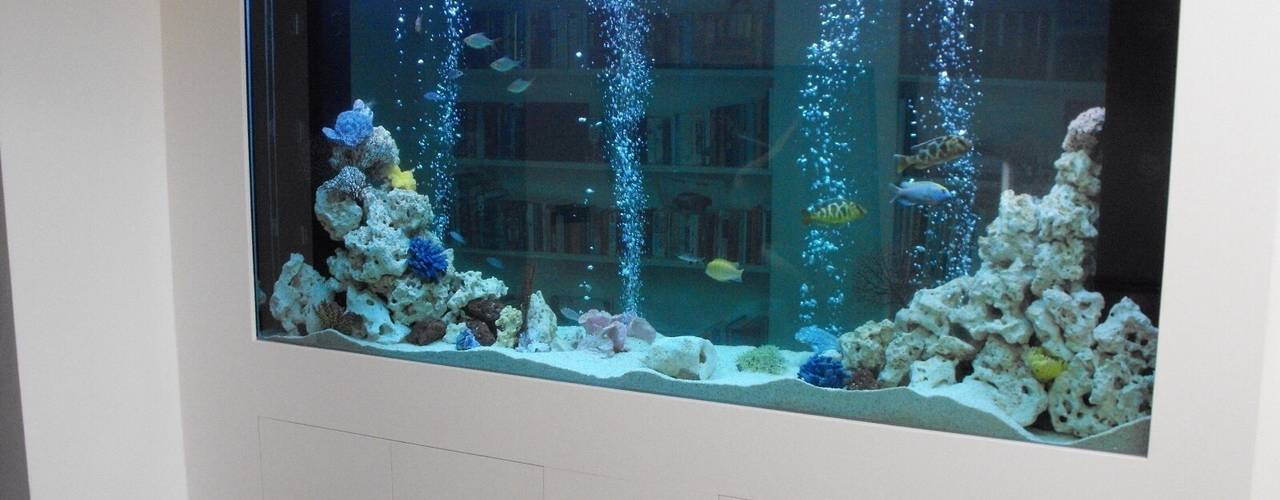 Through wall aquarium Surrey, Aquarium Services Aquarium Services Modern Corridor, Hallway and Staircase