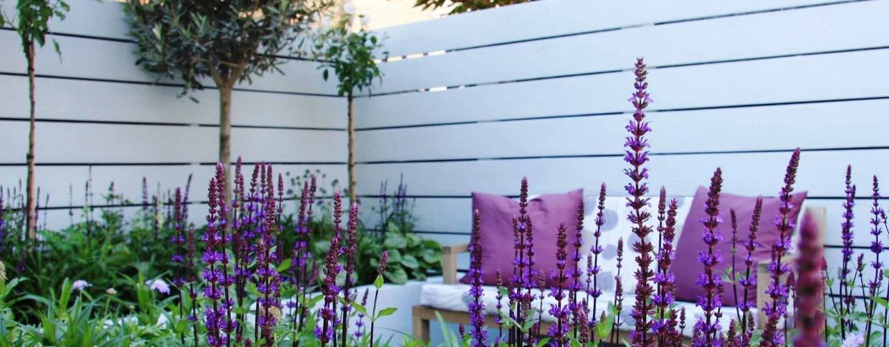 8 Bedroom Friendly Plants You Can Have in Your Bedroom | homify