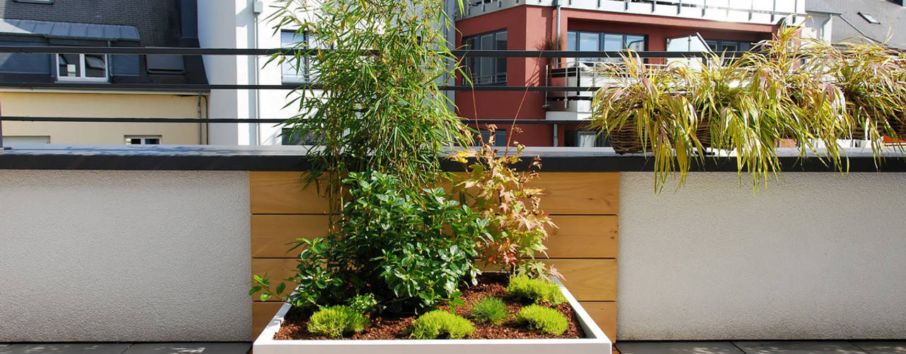 Custom planters IMAGE'IN - Designing of a private terrace in Luxembourg, ATELIER SO GREEN ATELIER SO GREEN モダンデザインの テラス
