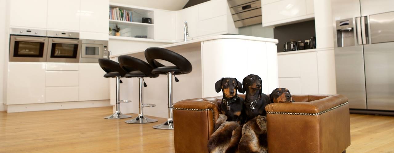 Dog sofa - Sandringham dog sofa range, Scott's of london Scott's of london Cocinas de estilo clásico Piel Gris