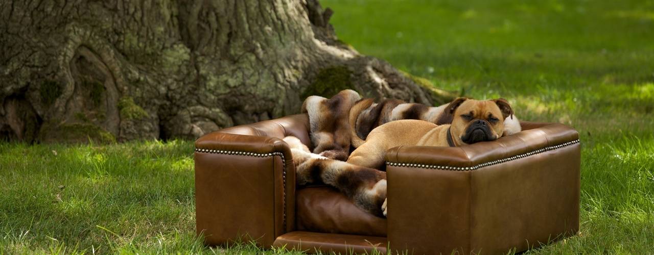 Dog sofa - Sandringham dog sofa range, Scott's of london Scott's of london ห้องนั่งเล่น หนัง Grey
