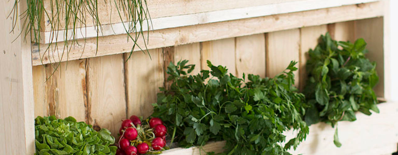 Verticale pallet tuin van POPUPPALLETS, Pop up Pallets Pop up Pallets Balcon, Veranda & Terrasse industriels